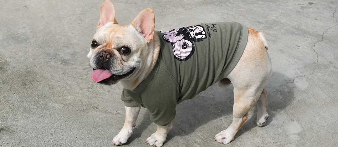 フレンチブルドッグ服 * BLIMP ブリンプ