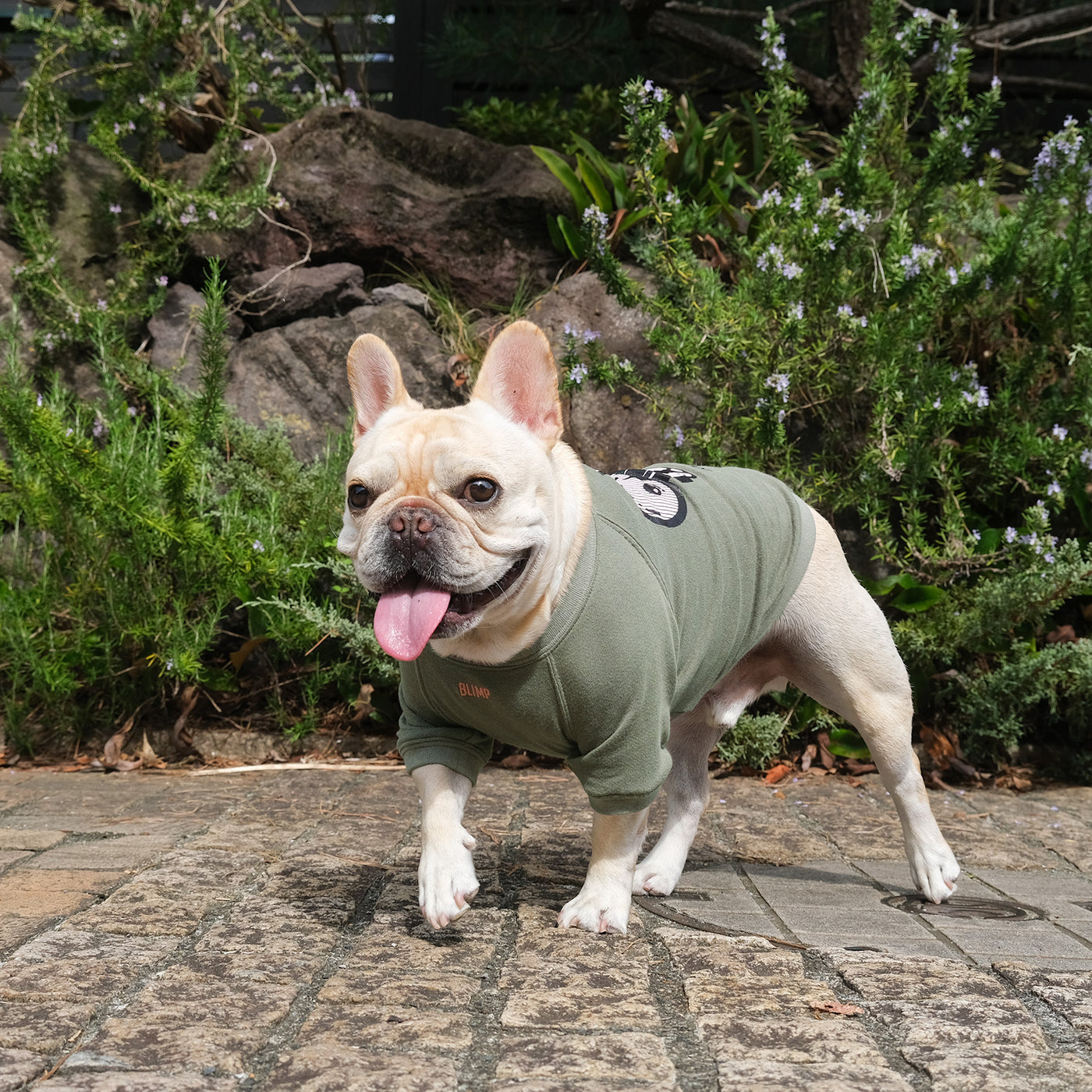 OMG OKAPPA Comfort Sweat