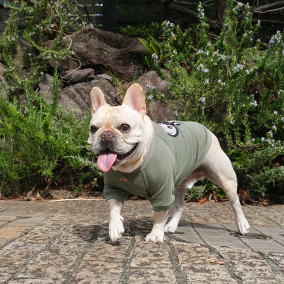 OMG OKAPPA Comfort Sweat