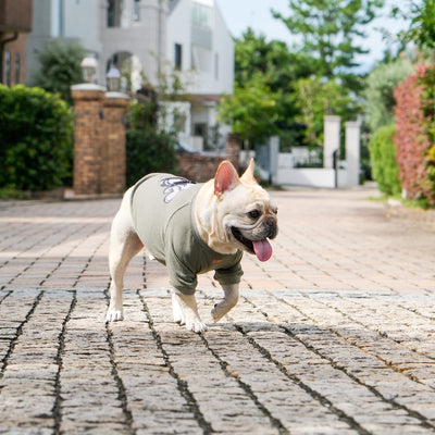 OMG OKAPPA Comfort Sweat