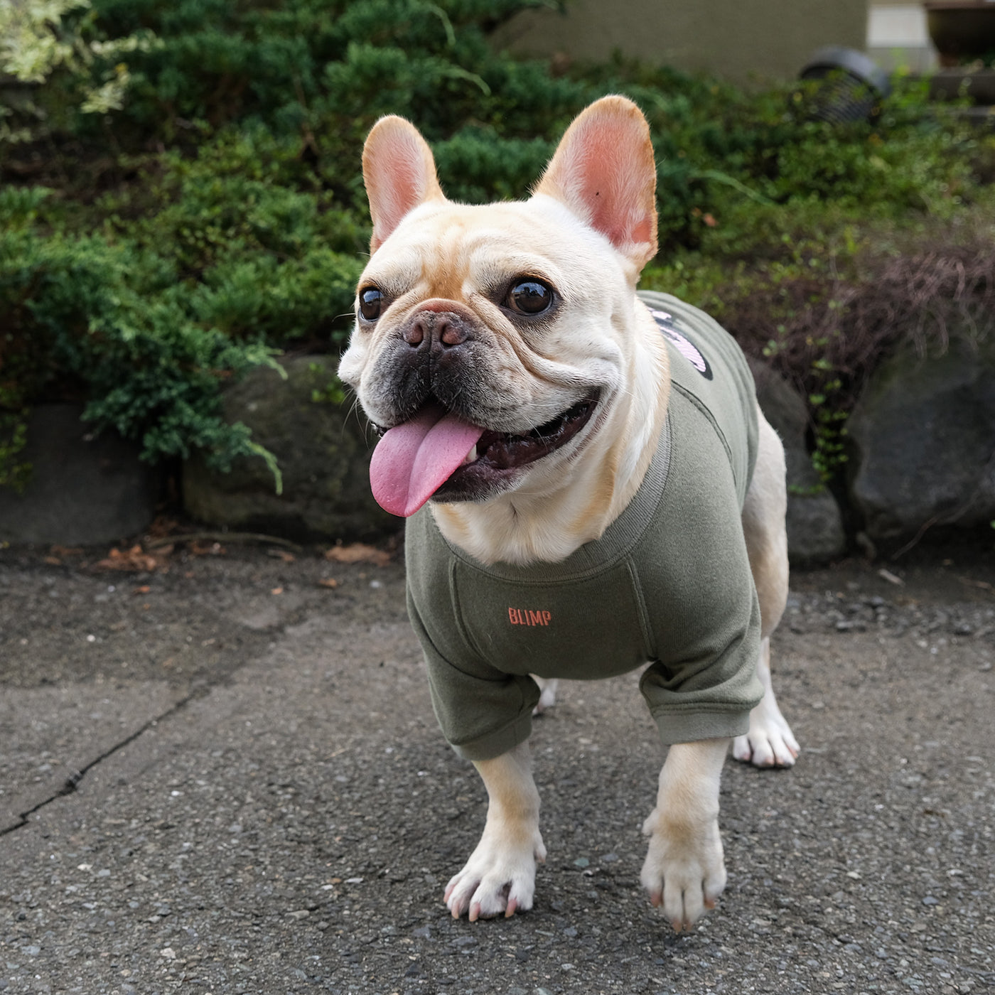 OMG OKAPPA Comfort Sweat