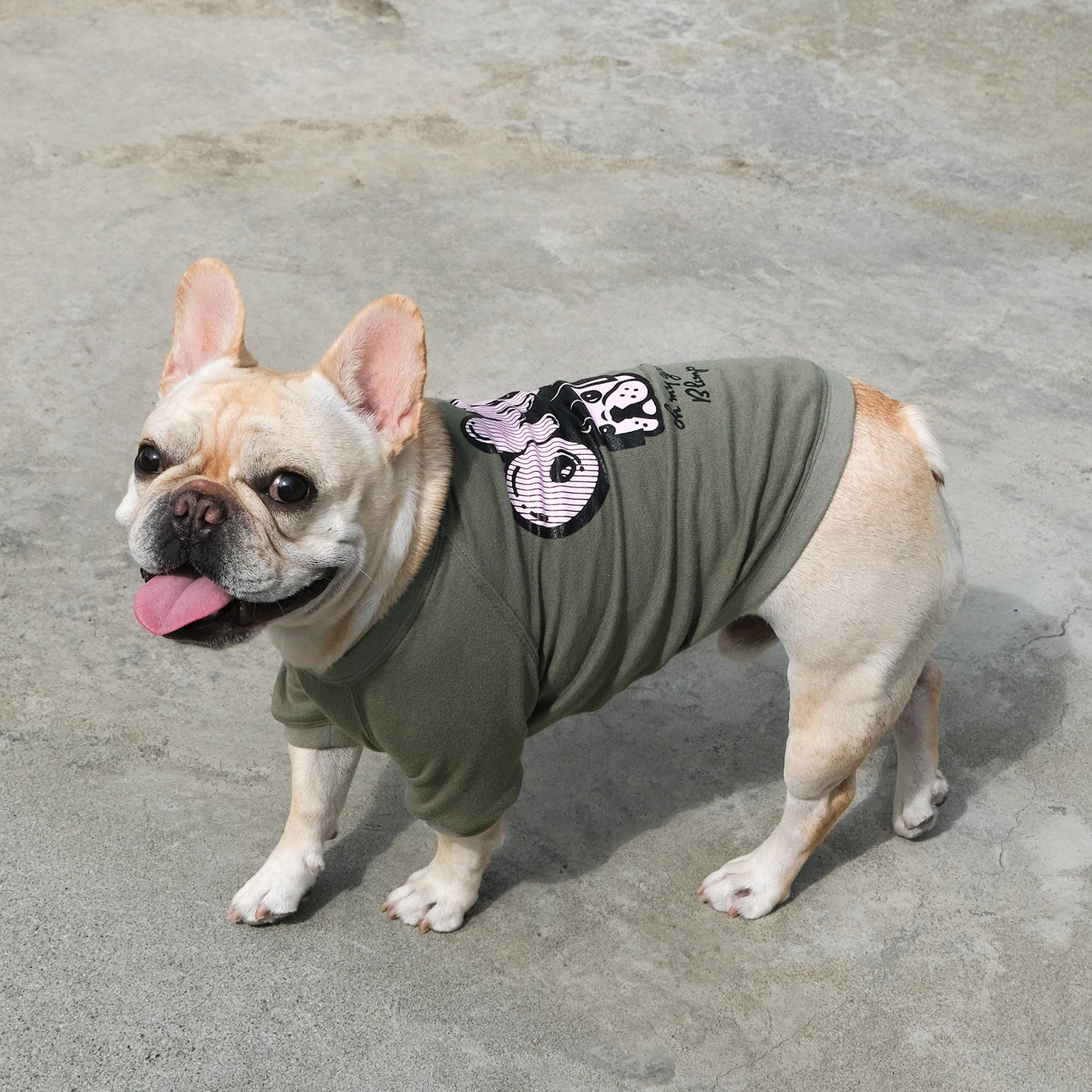 OMG OKAPPA Comfort Sweat