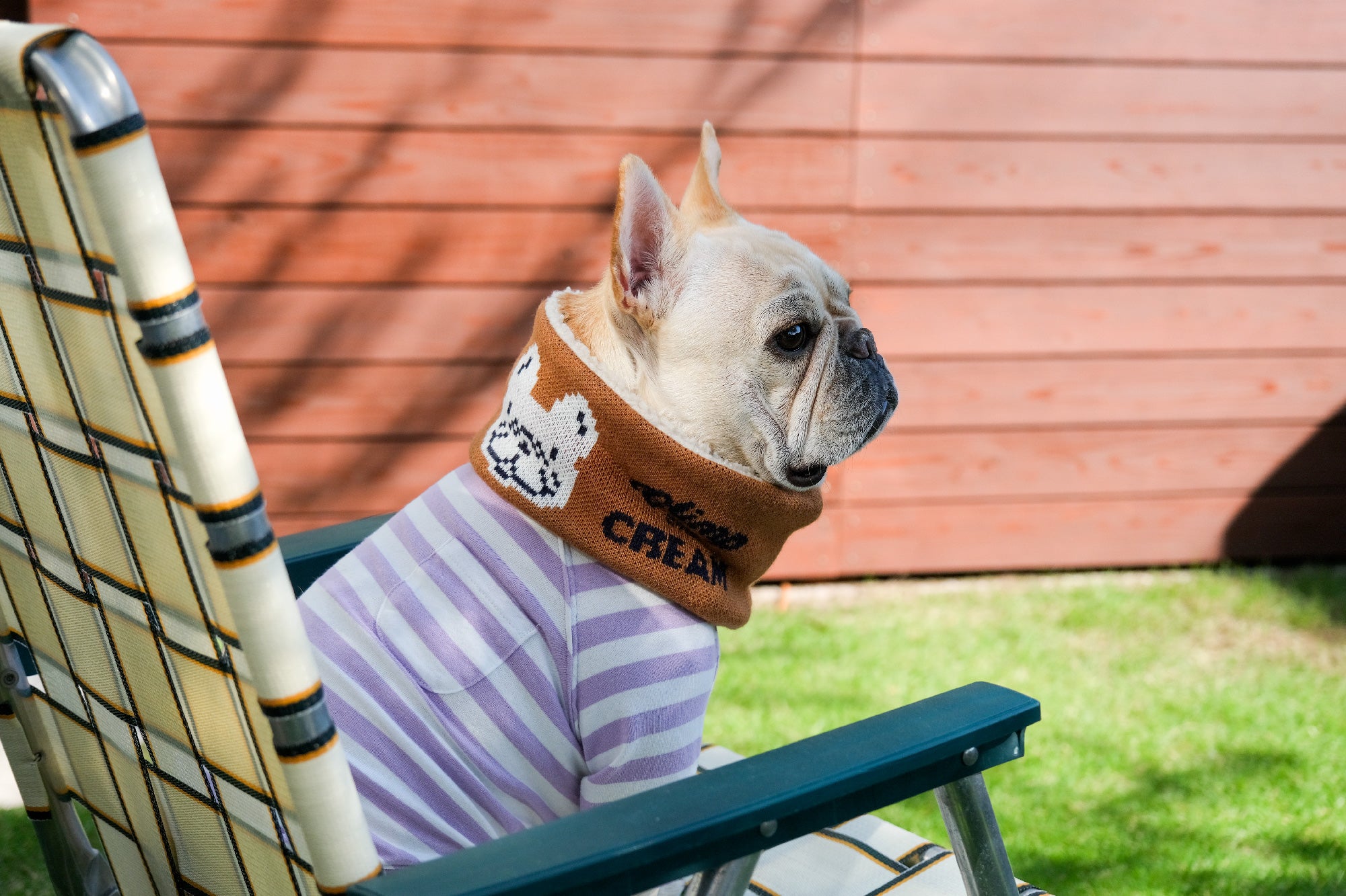 フレンチブルドッグ服 * BLIMP ブリンプ