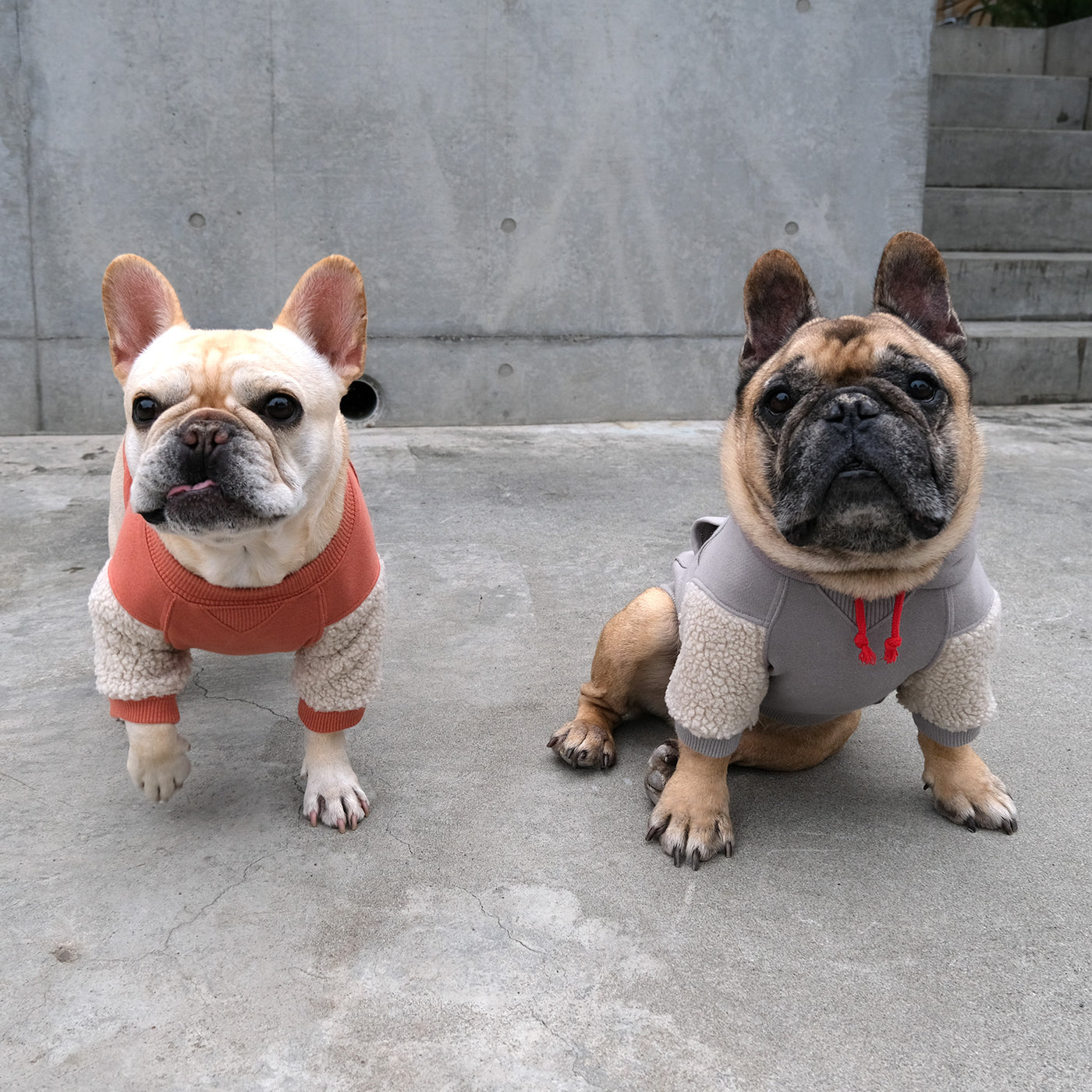 TOKYO College Hoodie