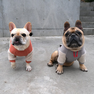 TOKYO College Hoodie