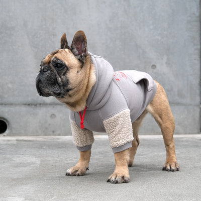 TOKYO College Hoodie