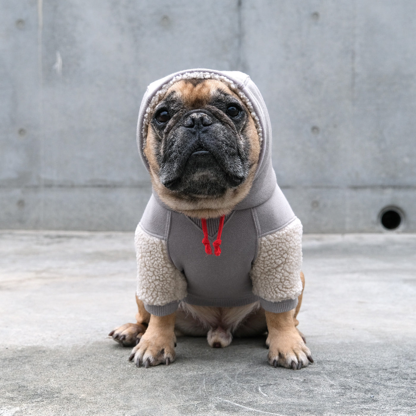 TOKYO College Hoodie