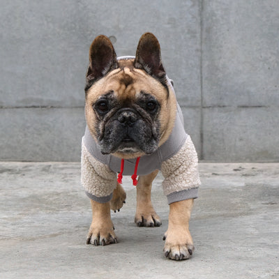 TOKYO College Hoodie