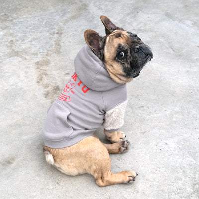 TOKYO College Hoodie