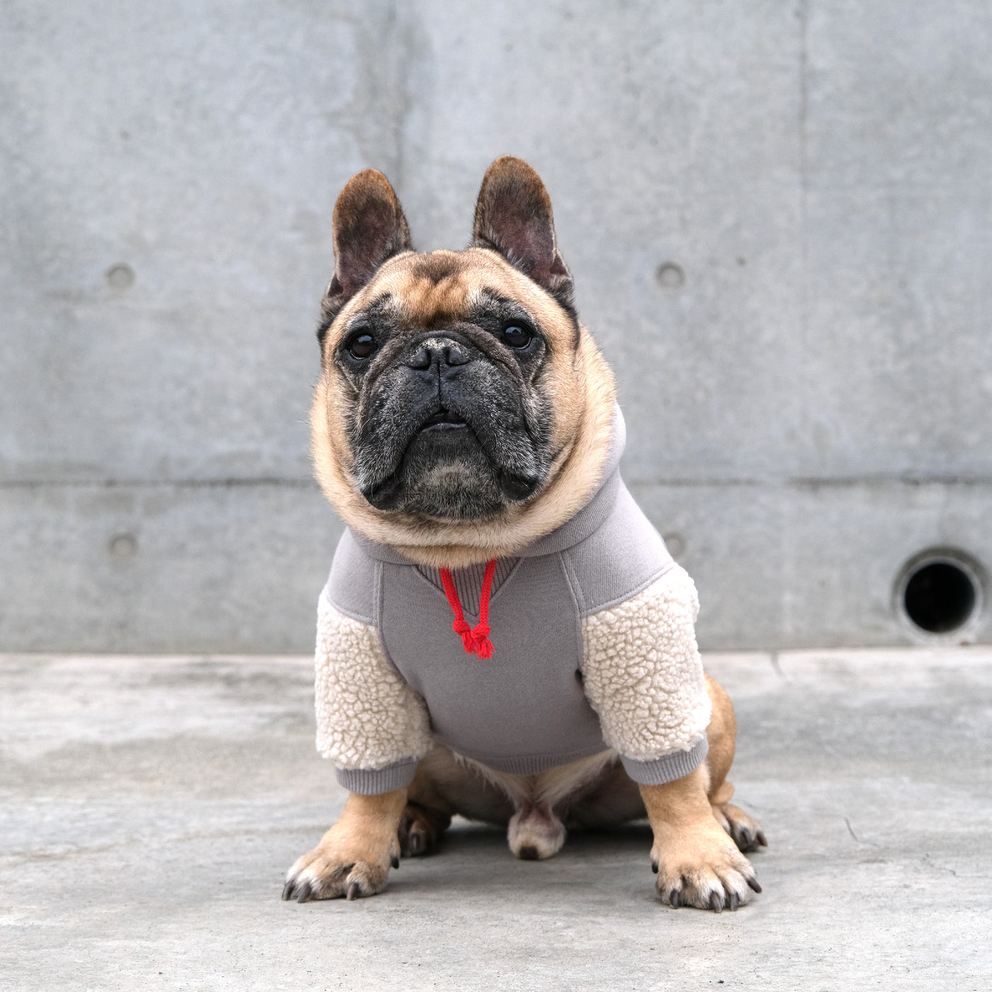 TOKYO College Hoodie