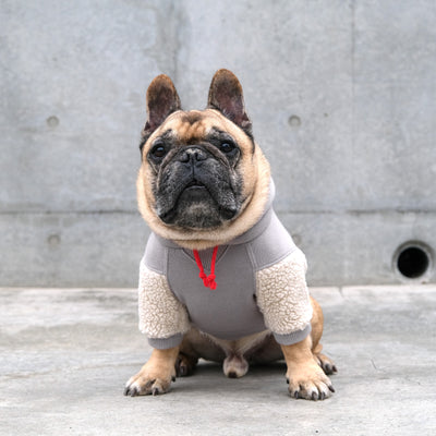 TOKYO College Hoodie