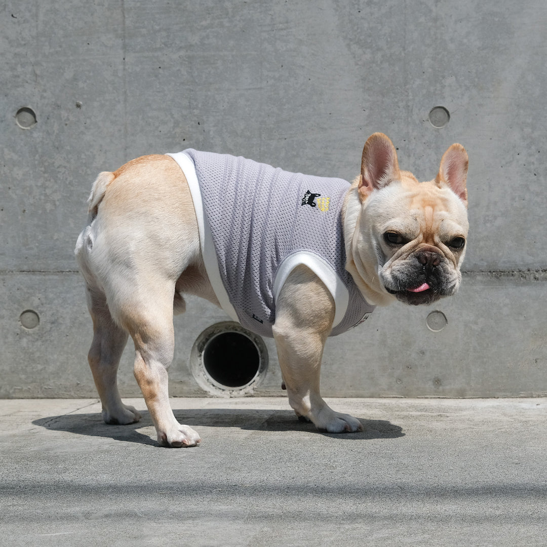 LOVE BUHI Mesh Tank – フレンチブルドッグ服 BLIMP ブリンプ