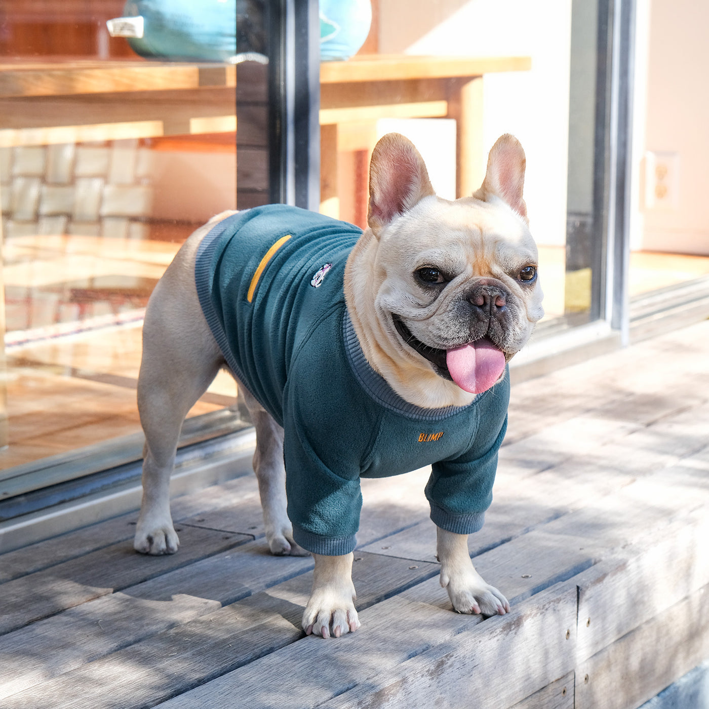 BUHI-MEGANE Elbow Patch Fleece – フレンチブルドッグ服 BLIMP ブリンプ