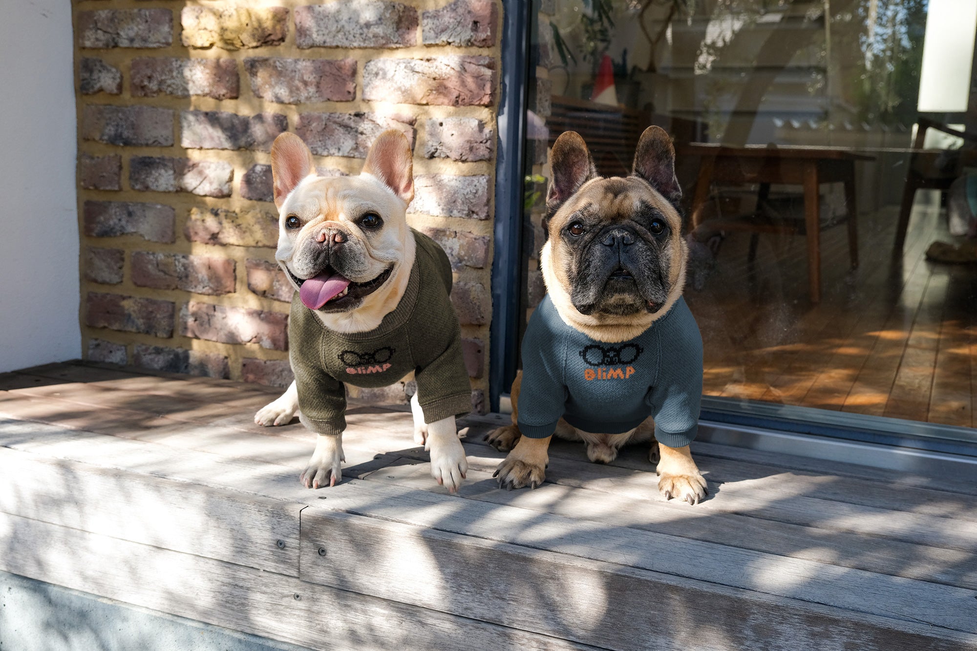 フレンチブルドッグ服 * BLIMP ブリンプ