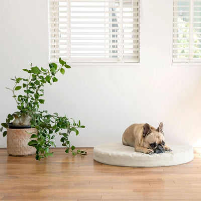 Pancake Cushion