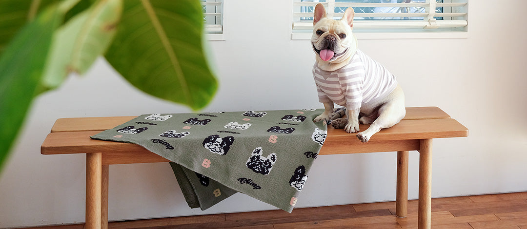 フレンチブルドッグ服 * BLIMP ブリンプ