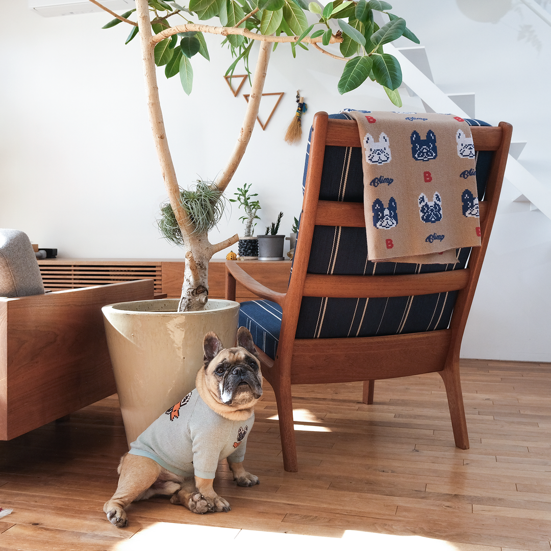 4BUHI Blanket – フレンチブルドッグ服 BLIMP ブリンプ