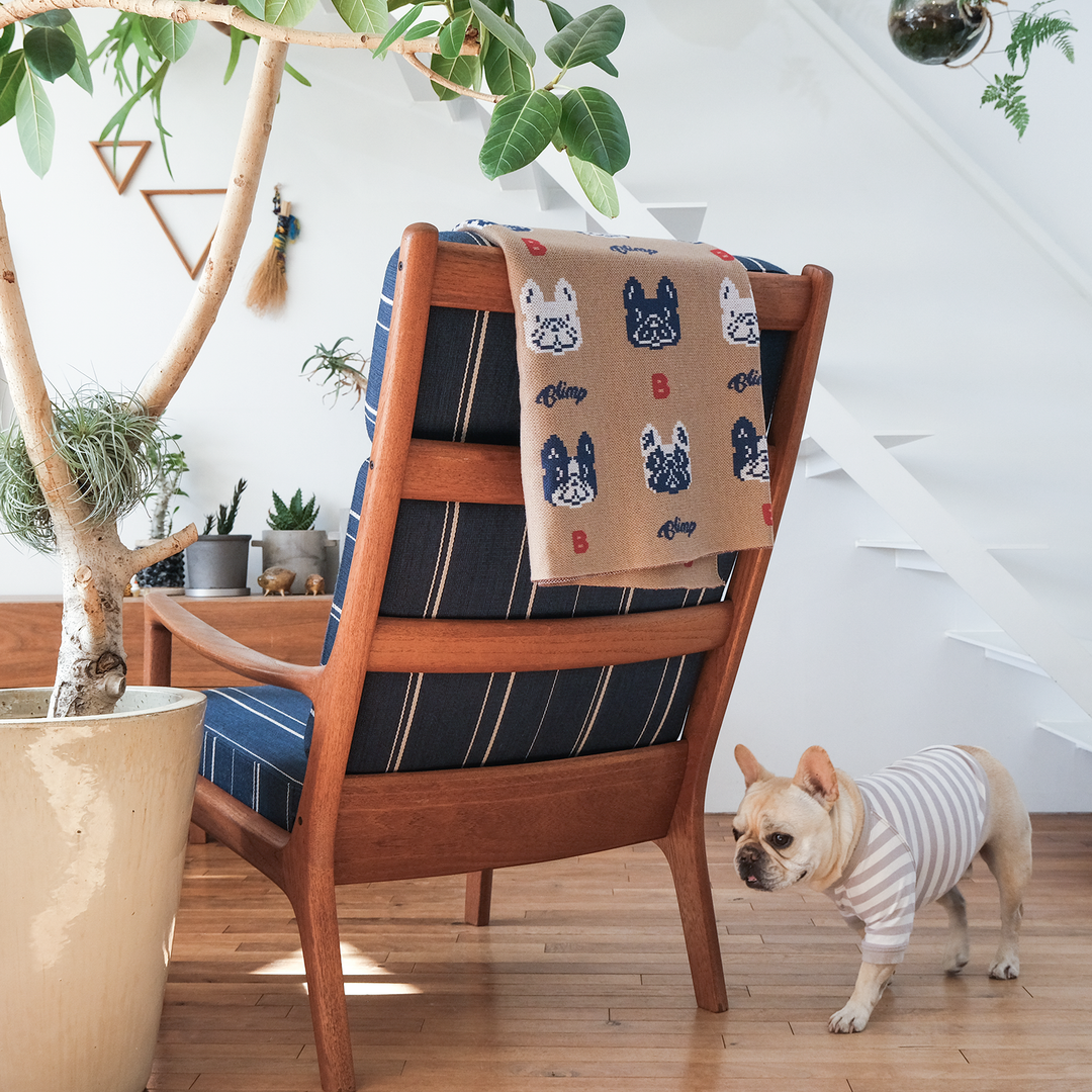 4BUHI Blanket – フレンチブルドッグ服 BLIMP ブリンプ