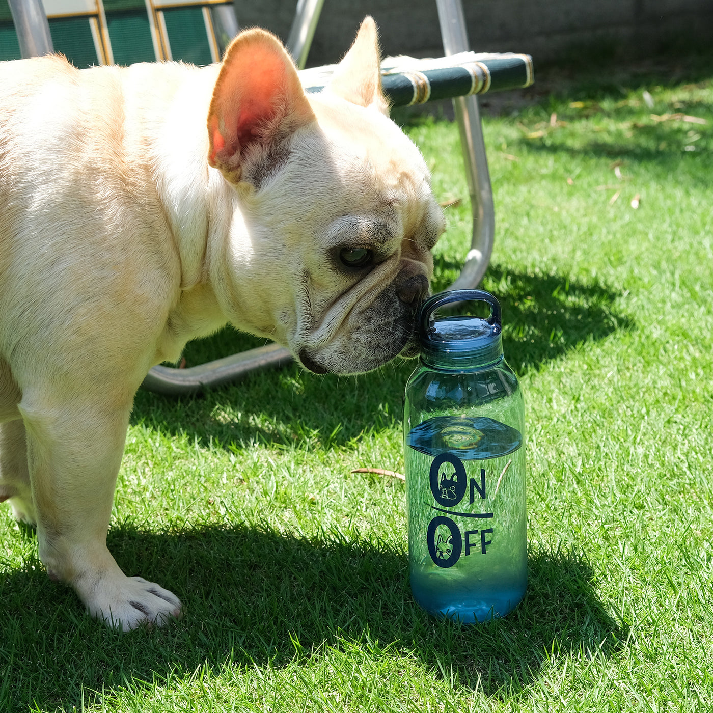 BLIMP×KINTO WATER BOTTLE