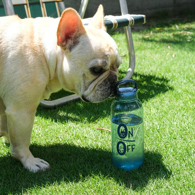 BLIMP×KINTO WATER BOTTLE
