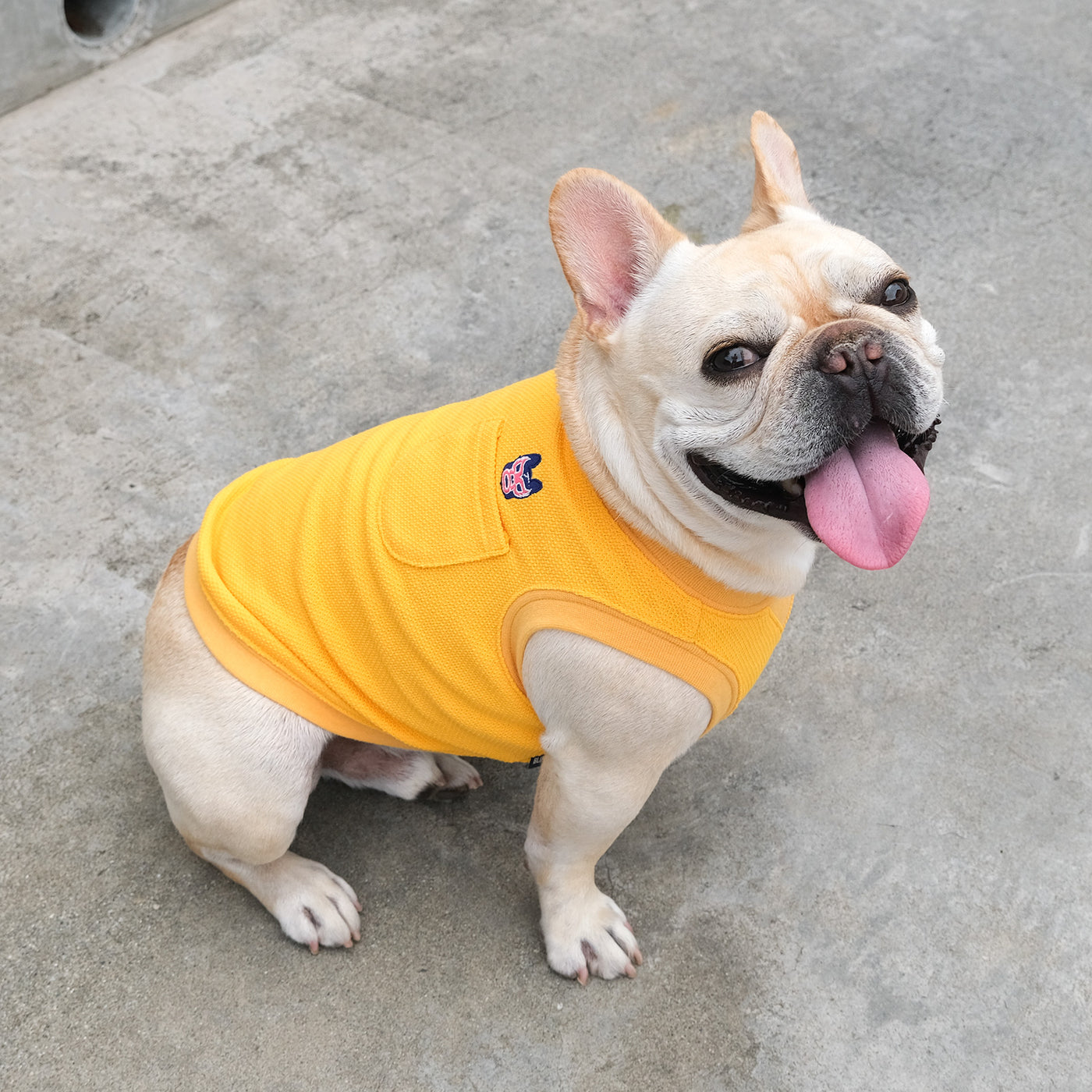 BUHI Wrestler Polo Tank – フレンチブルドッグ服 BLIMP ブリンプ