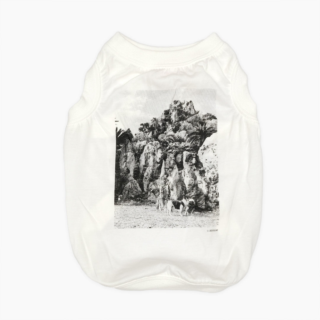 すべての商品 – ページ 3 – フレンチブルドッグ服 BLIMP ブリンプ