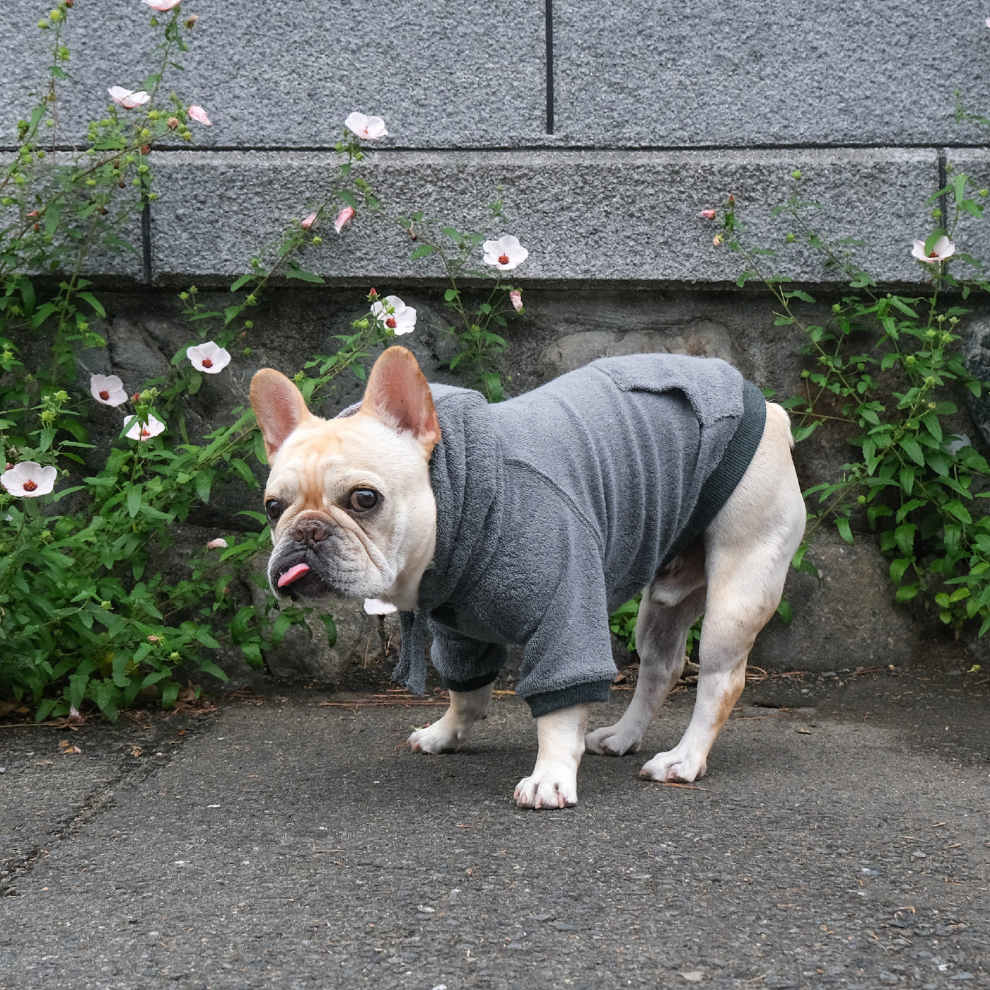 Low Gauge Pile Hoodie