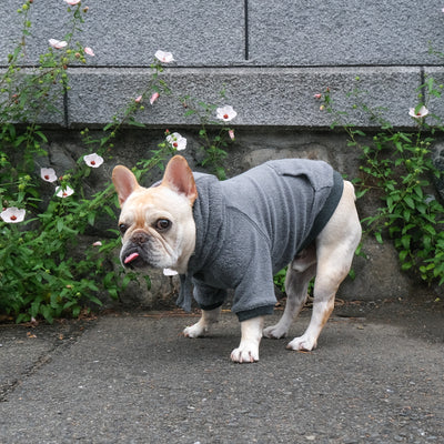 Low Gauge Pile Hoodie