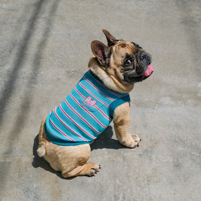 POCKET BORDER Tank