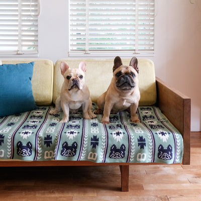 Buhi Ortega Blanket '25