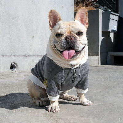 TIBETAN BUHI Hoodie – フレンチブルドッグ服 BLIMP ブリンプ