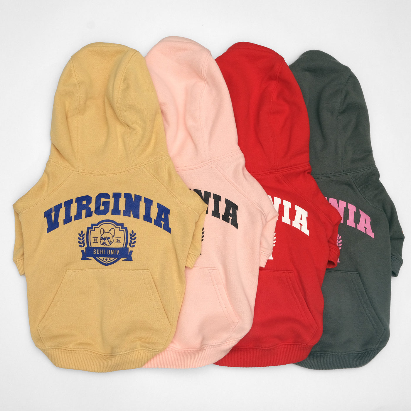 VIRGINIA College Hoodie