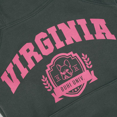 VIRGINIA College Hoodie