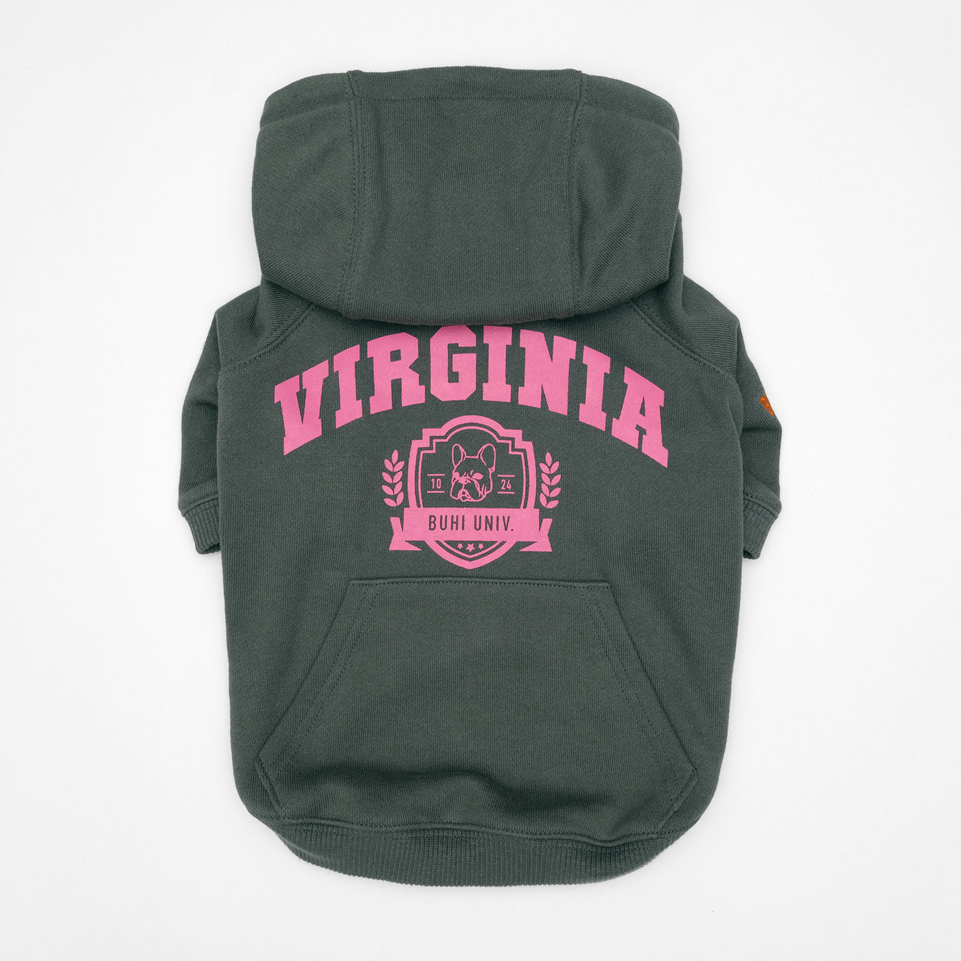 VIRGINIA College Hoodie