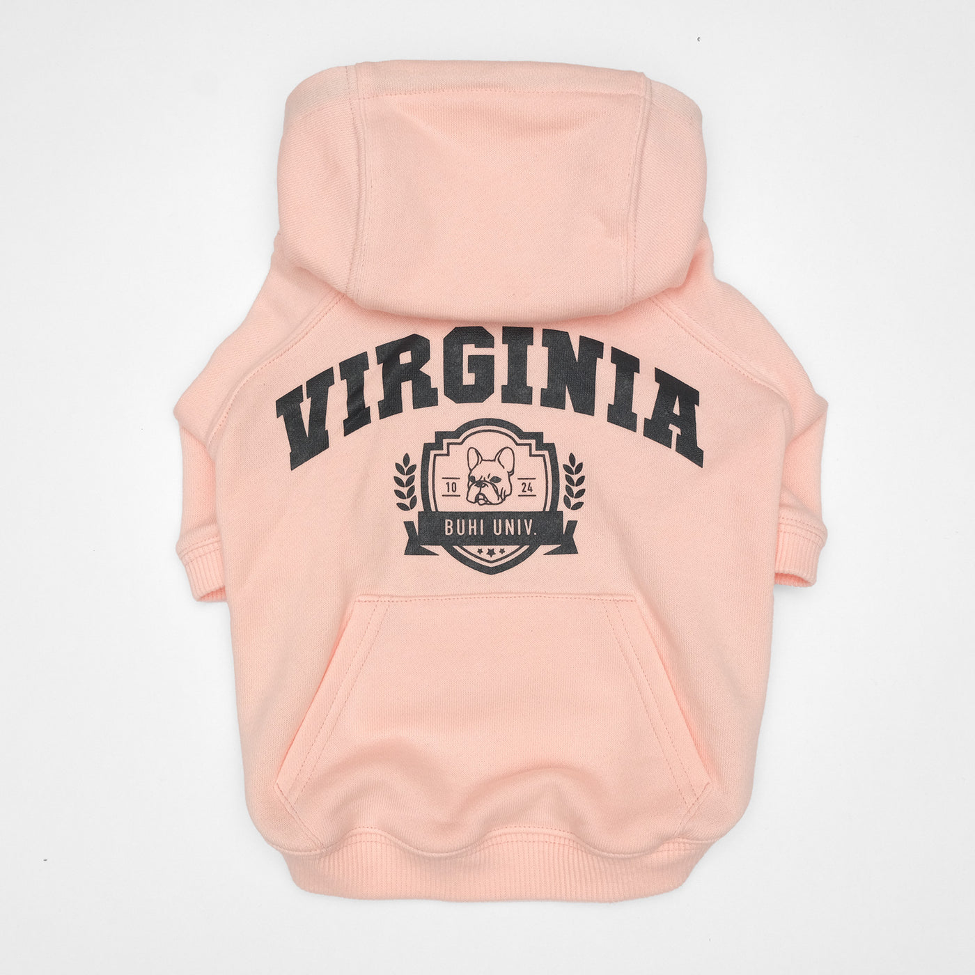 VIRGINIA College Hoodie