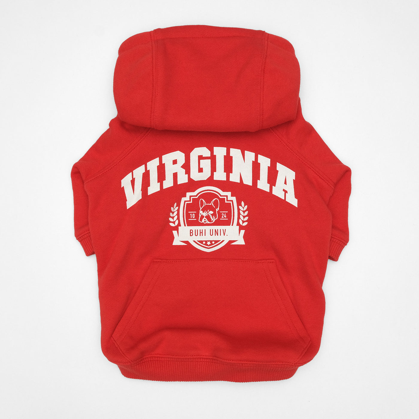 VIRGINIA College Hoodie