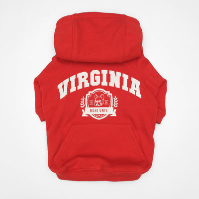 VIRGINIA College Hoodie