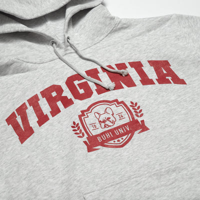 VIRGINIA College Hoodie for Owners