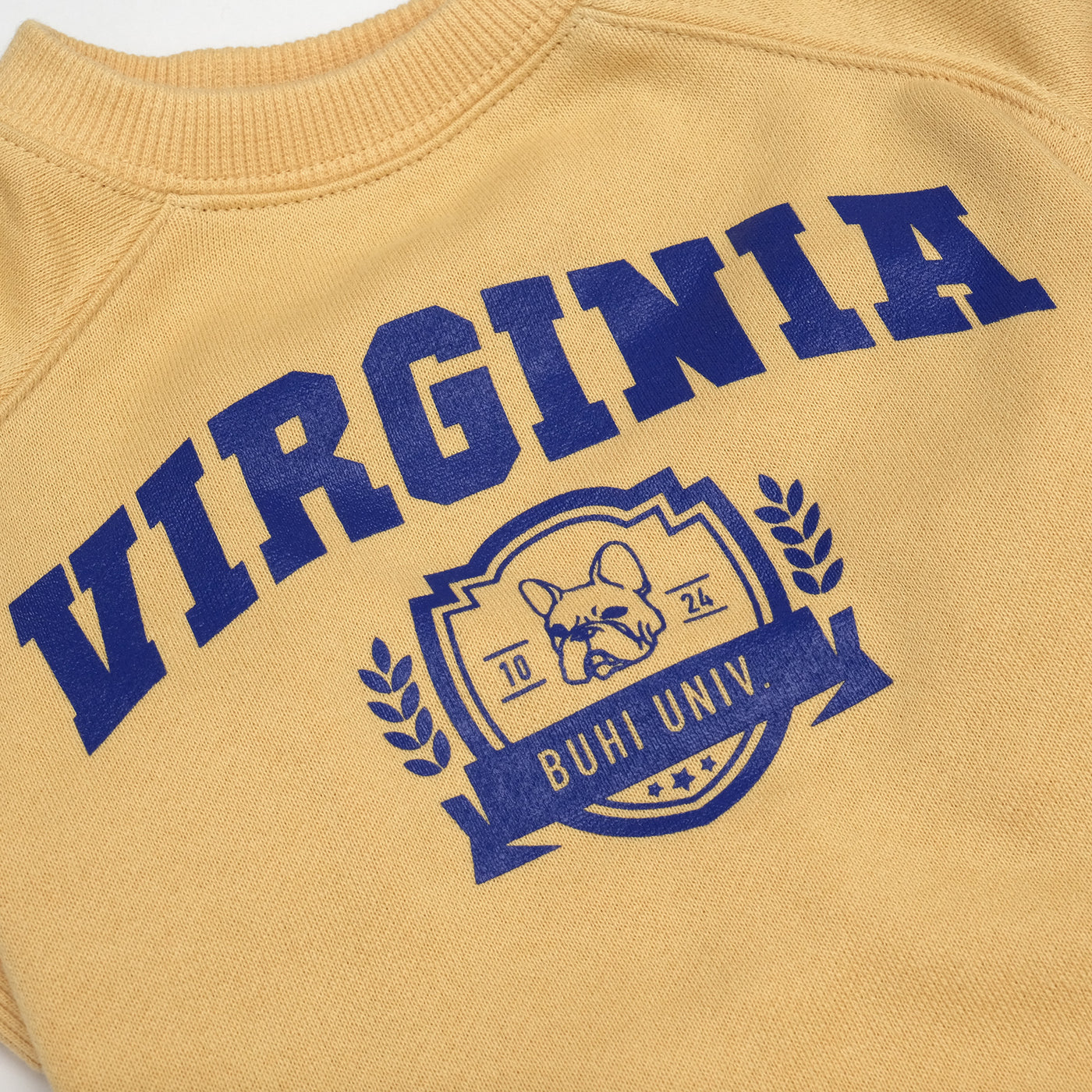 VIRGINIA College Sweat