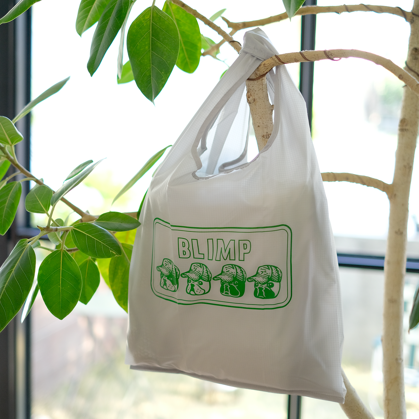 Cap Buhi Eco Bag