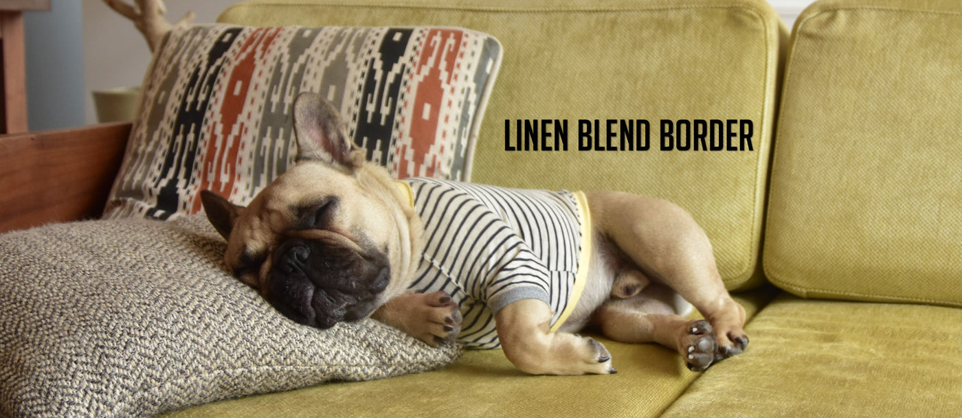 linen blend border-Archived-フレンチブルドッグ服
