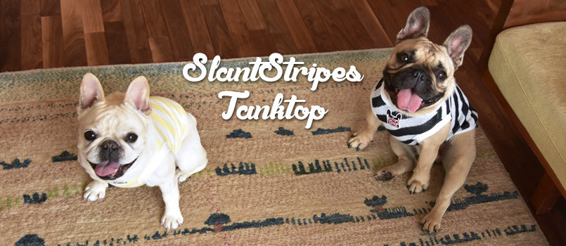 Slant Stripes TT-Archived-フレンチブルドッグ服