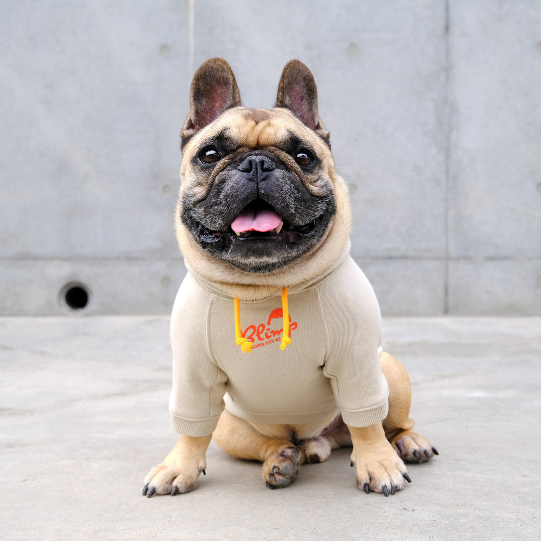 BLIMP SURF KNIT フレンチブルドッグ服 BLIMP