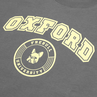 OXFORD College Hoodie for Owner