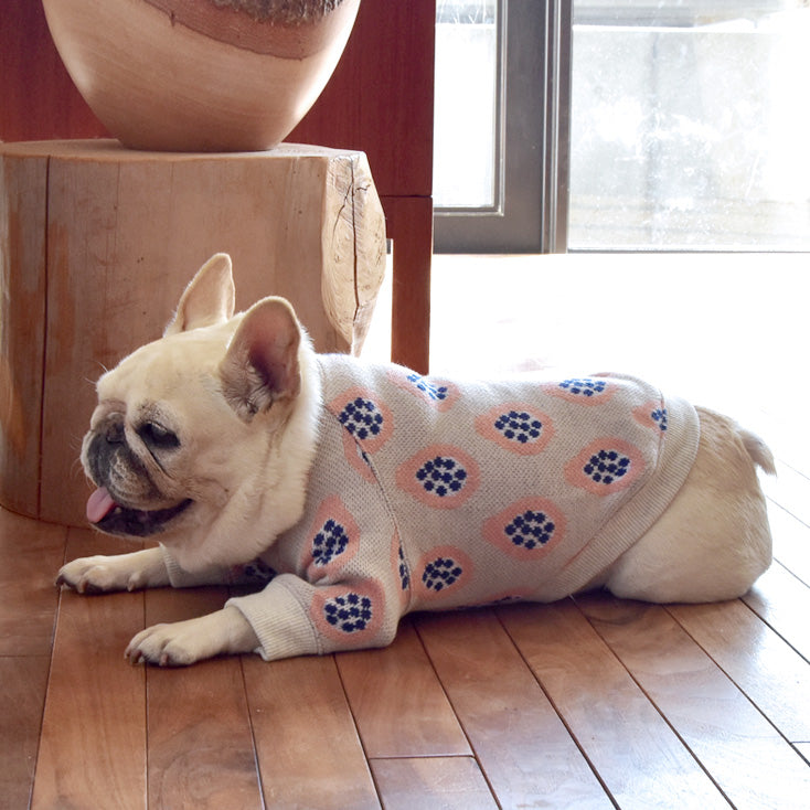 19 Papaya Jacquard Knit – フレンチブルドッグ服 BLIMP ブリンプ